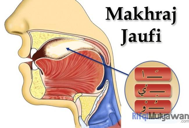 Gambar Dari Makhraj Jaufi Atau Mulut | Celikalquran