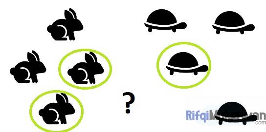 Contoh K Nearest Neighbour Dengan Ilustrasi Kelinci Dan Kura Kura Mencari Tetangga Terdekatnya