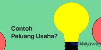 Gambar Contoh Peluang Usaha Di Bidang Jasa Profesi Dan Profesionalisme Yang Dibutuhkan Masyarakat Dan Menguntungkan