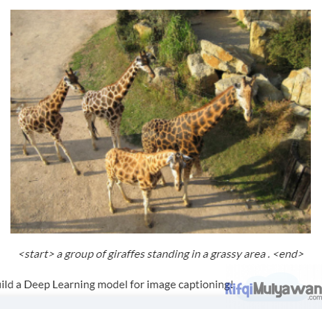 Gambar Dari Contoh Dan Implementasi Kode Code Image Captioning Caption Generation Generator Atau Keterangan Gambar Otomatis Yang Berhasil