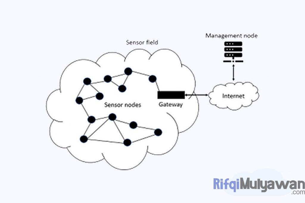 Gambar Macam Macam Operasi Prinsip Cara Kerja Atau Mekanisme Dari Sensor Networks Serta Apa Saja Node Node Yang Ada Di Dalamnya