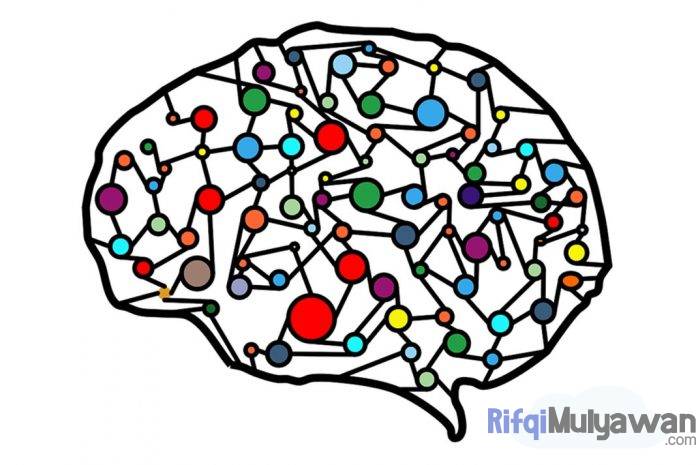 Gambar Pengertian ANN Artificial Neural Network Cara Kerja ANN Fungsi ANN Dan Jenis ANN Gambar Pengertian ANN Artificial Neural Network Cara Kerja ANN Fungsi ANN Dan Jenis ANN