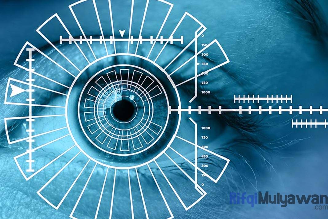 Pengertian Biometrics (Biometrik): Sejarah, Cara Kerja, Jenis, Contohnya