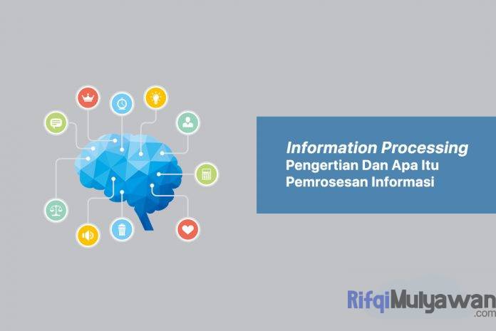 Gambar Pengertian Information Processing Apa Itu Pemrosesan Informasi Sejarah Awal Tujuan Jenis Macam Karakteristik Ciri Serta Apa Saja Langkah Dan Tools Atau Alat Prosesnya Gambar Pengertian Information Processing Apa Itu Pemrosesan Informasi Sejarah Awal Tujuan Jenis Macam Karakteristik Ciri Serta Apa Saja Langkah Dan Tools Atau Alat Prosesnya