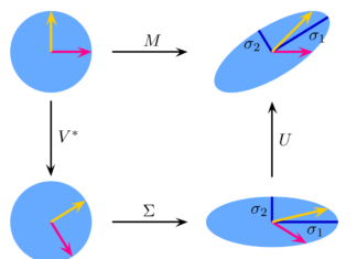 Gambar Singular Value Decomposition