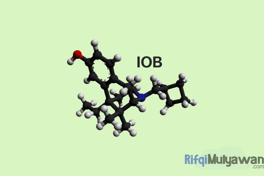 Ilustrasi Gambar Apa Itu IOB Atau Internet Berdasarkan Perilaku Sejarah Tujuan Dan Fungsi Serta Jenis Komponen Utamanya