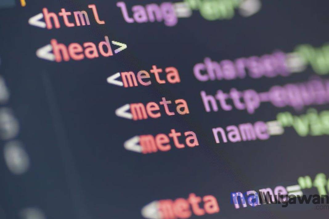 Pengertian Meta Element (Tag): Fungsi, Jenis, Contohnya Dalam HTML!