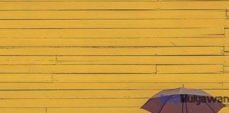 Ilustrasi Gambar Payung Sebagai Arti Kehidupan Hidup Adalah