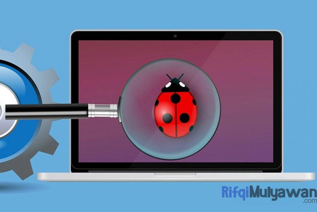 Ilustrasi Gambar Sejarah Jenis Dan Klasifikasi Bug Dalam Membahas Mengenai Pengertian Dan Artinya