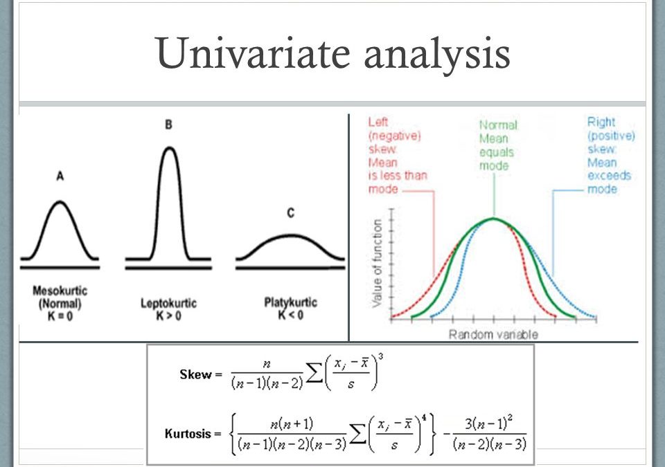 Univariate Analysis Adalah: Definisi, Formula, Dan Paper Terkaitnya!